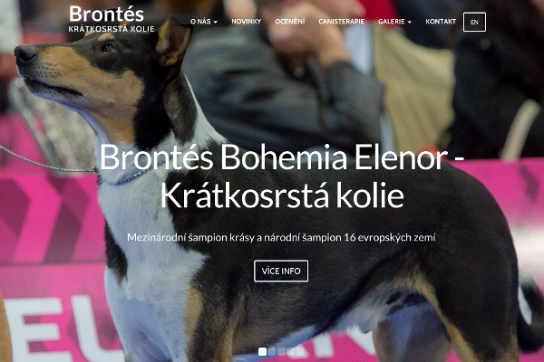 Brontés Bohemia Elenor